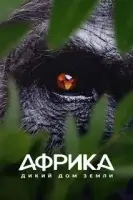 Африка: Дикий дом Земли / Africa Earth's Wild Home смотреть онлайн сериал 1 сезон бесплатно в HD